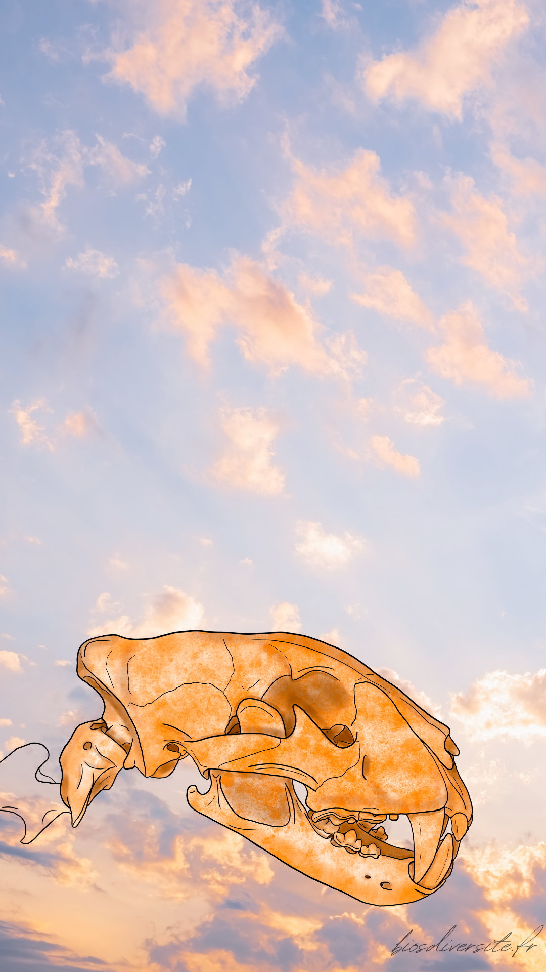 Fond d'écran Bi'Os'Diversité - téléphone