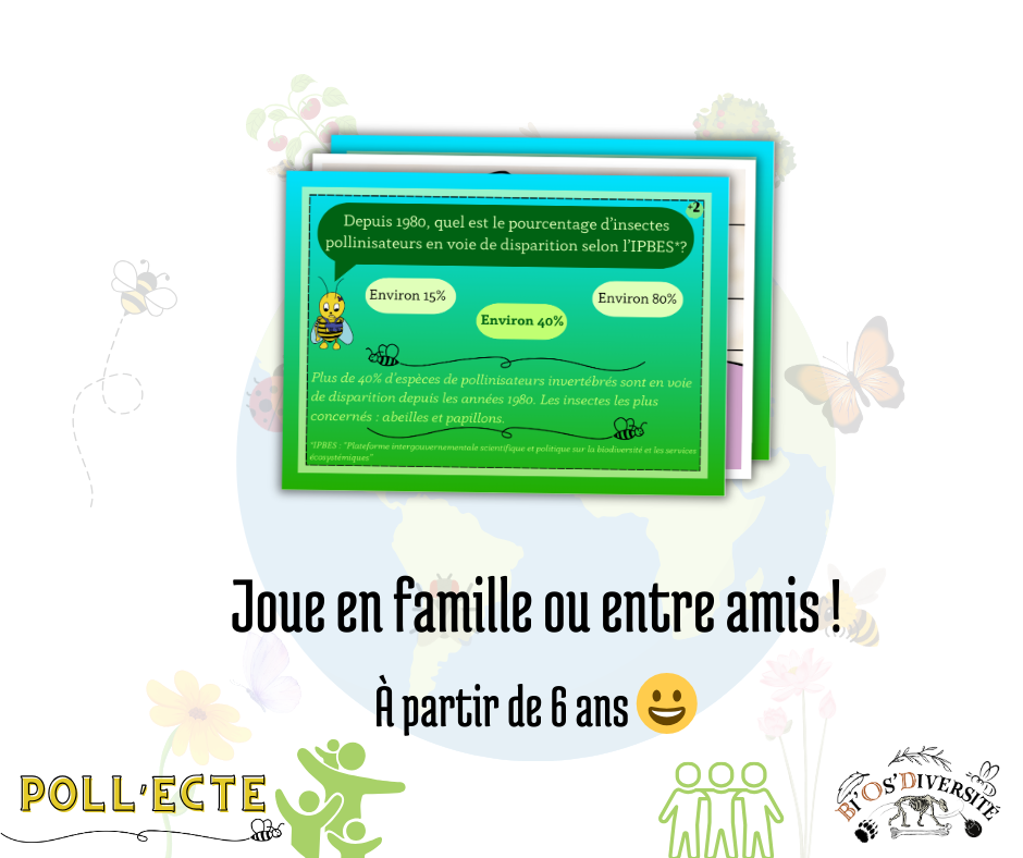 Jeu de cartes Poll’Ecte – les pollinisateurs