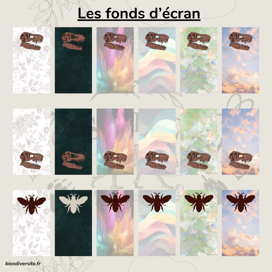 Fond d'écran Bi'Os'Diversité - téléphone