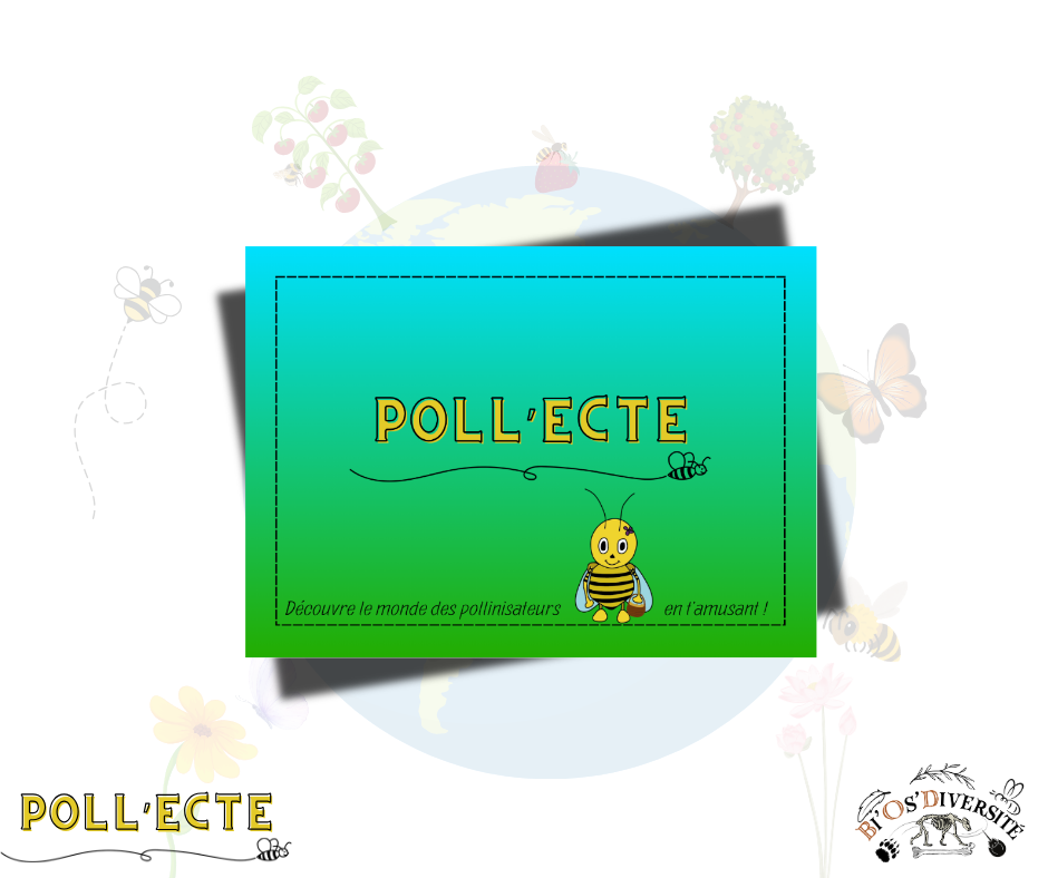 Jeu de cartes Poll’Ecte – les pollinisateurs