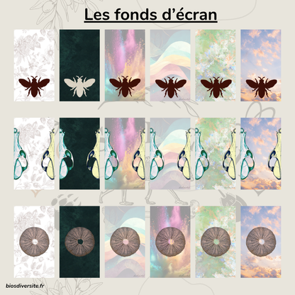 Fond d'écran Bi'Os'Diversité - téléphone