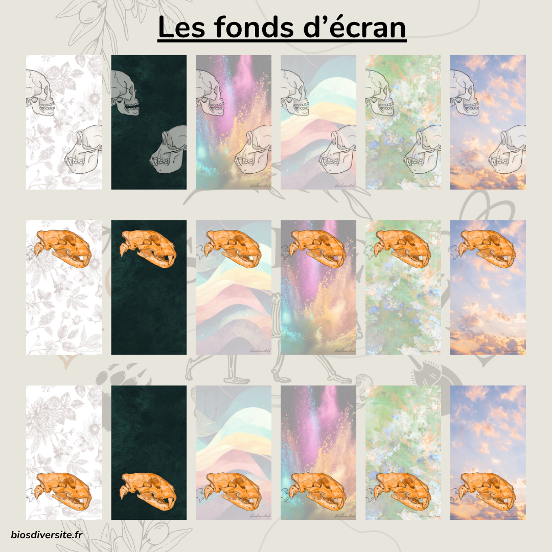 Fond d'écran Bi'Os'Diversité - téléphone
