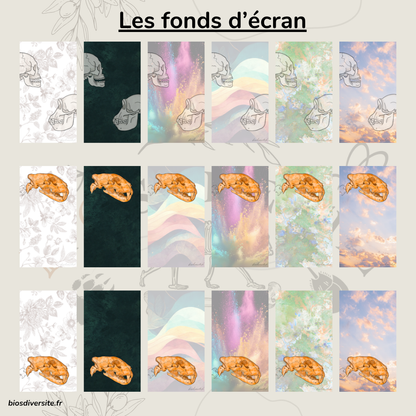 Fond d'écran Bi'Os'Diversité - téléphone