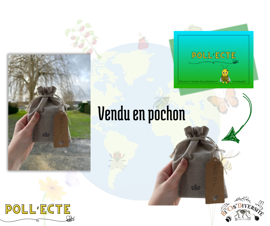 Jeu de cartes Poll’Ecte – les pollinisateurs