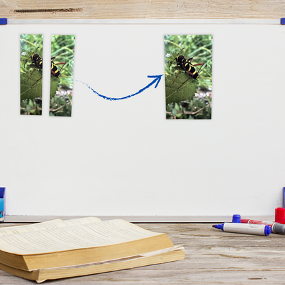 Magnets Cabine duo - Insecte