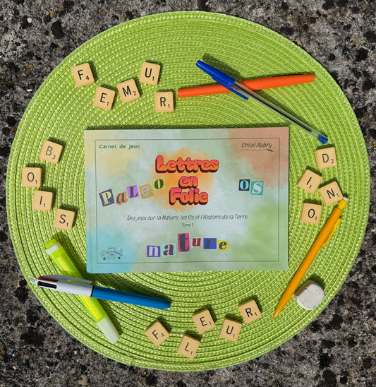 Lettres en folie, Tome 1
