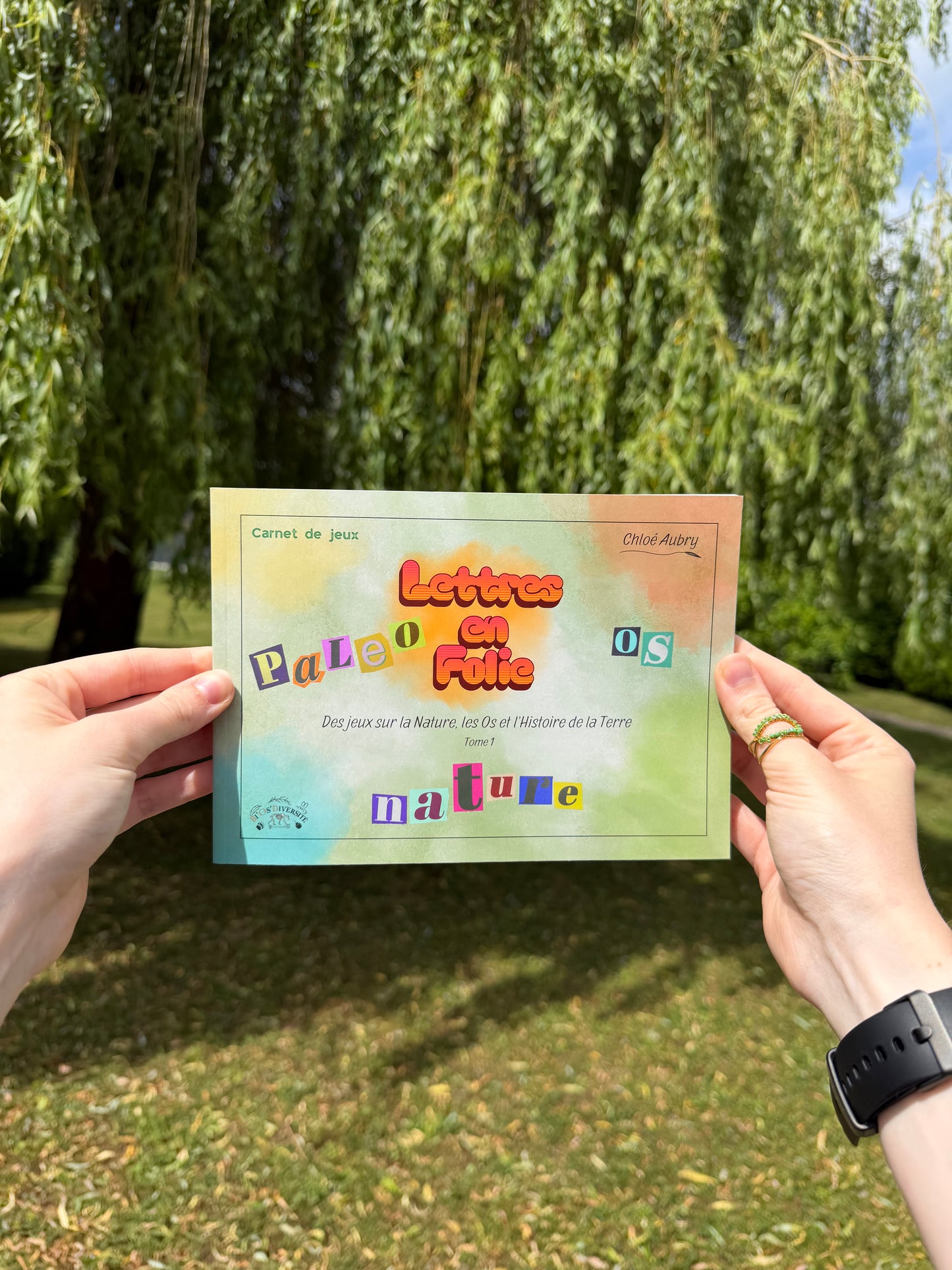 Lettres en folie, Tome 1