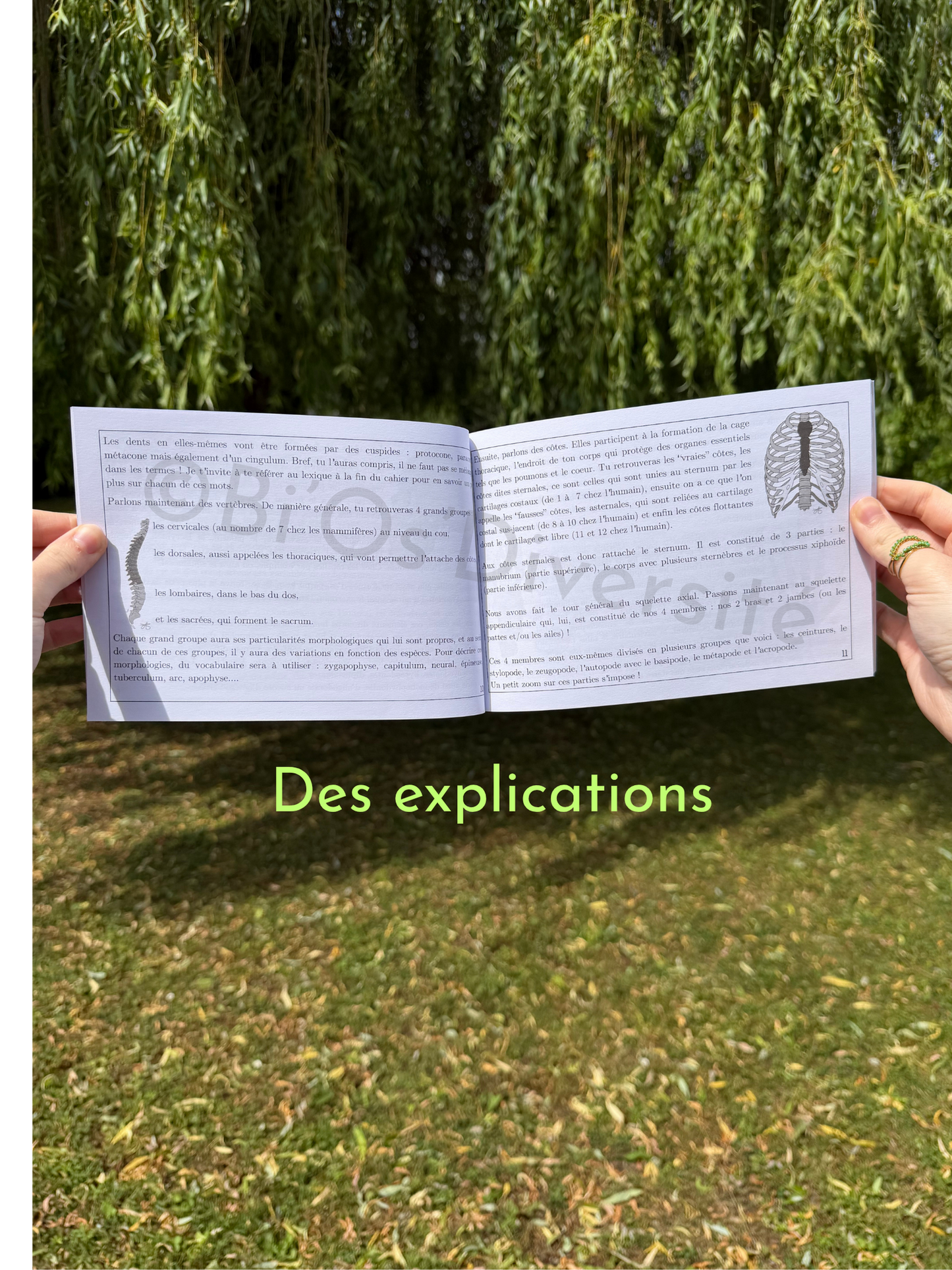 Lettres en folie, Tome 1