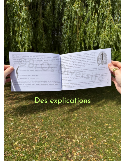 Lettres en folie, Tome 1