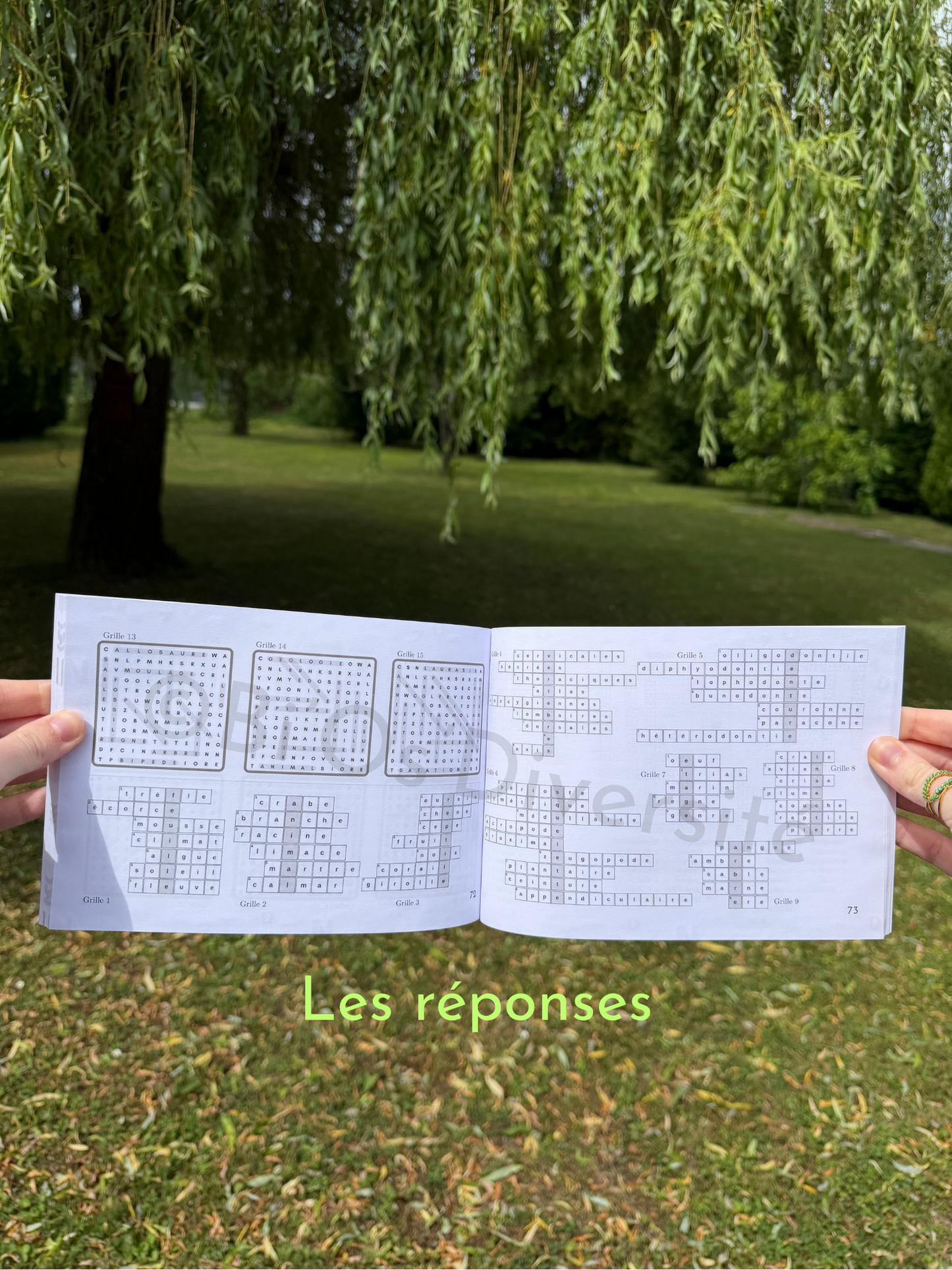 Lettres en folie, Tome 1
