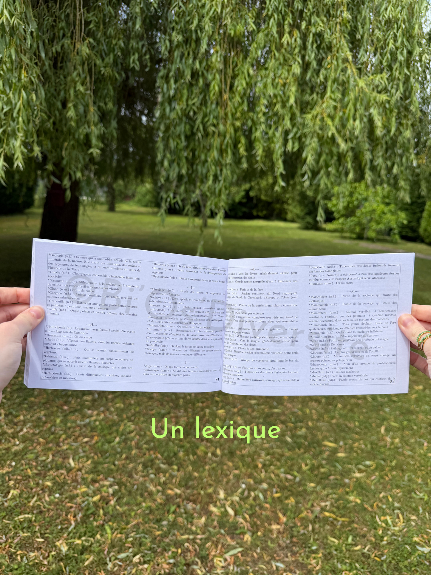 Lettres en folie, Tome 1