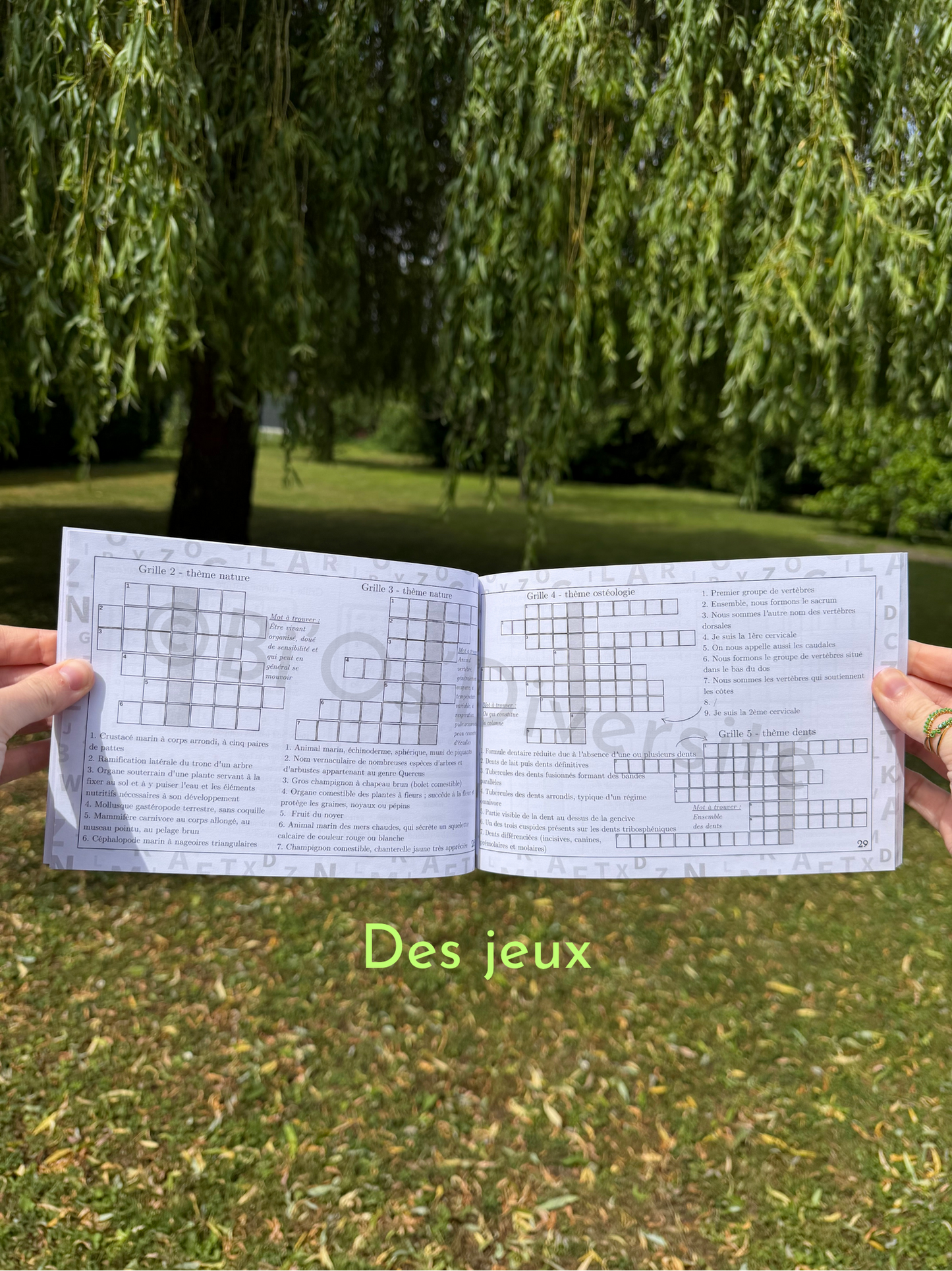 Lettres en folie, Tome 1
