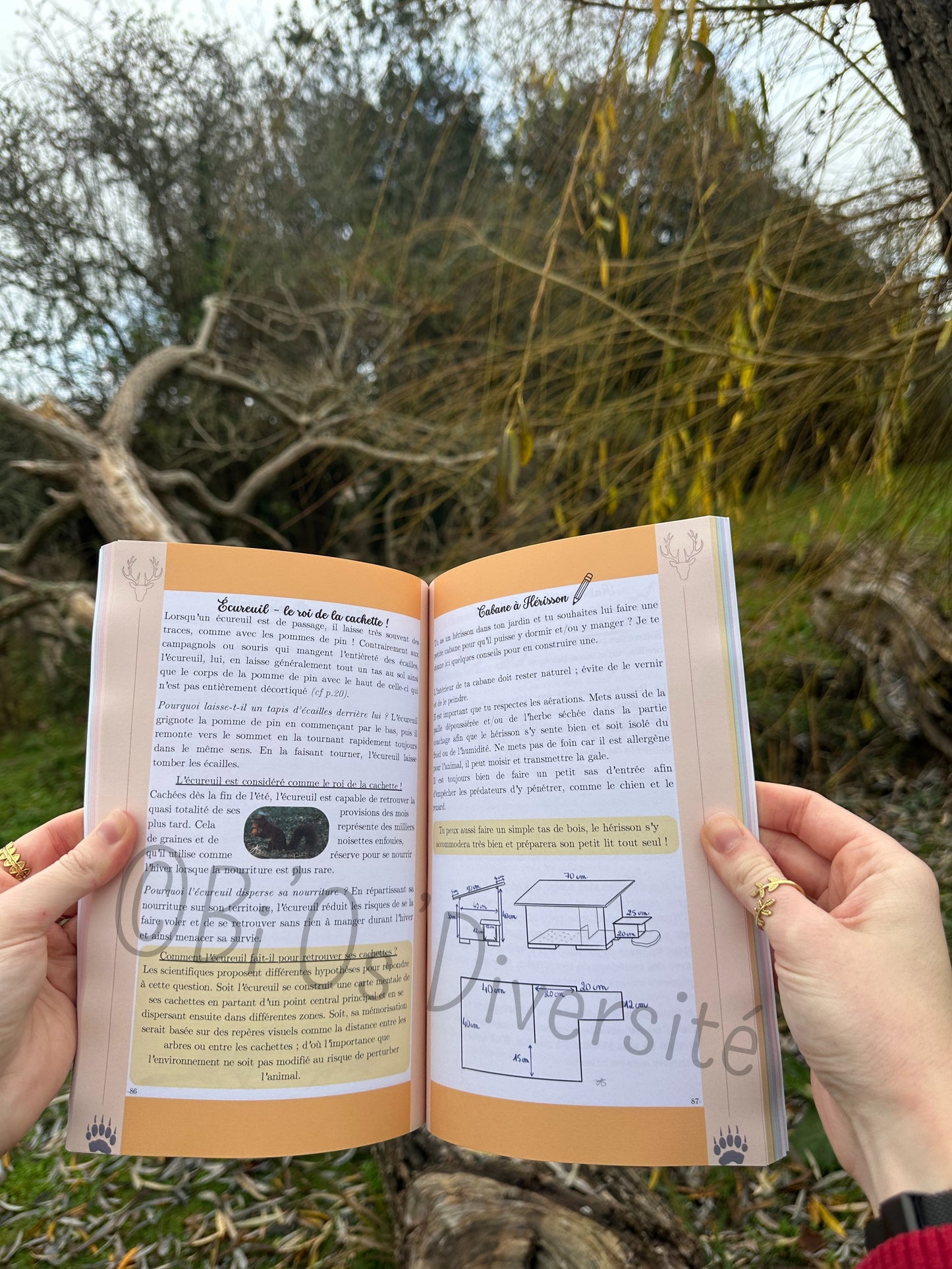 Le Carrousel de la Nature Sauvage, Tome 1 - en précommande