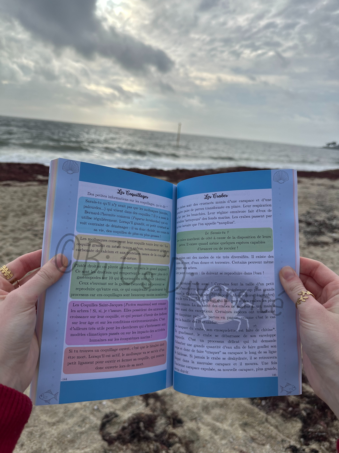 Le Carrousel de la Nature Sauvage, Tome 1 - en précommande