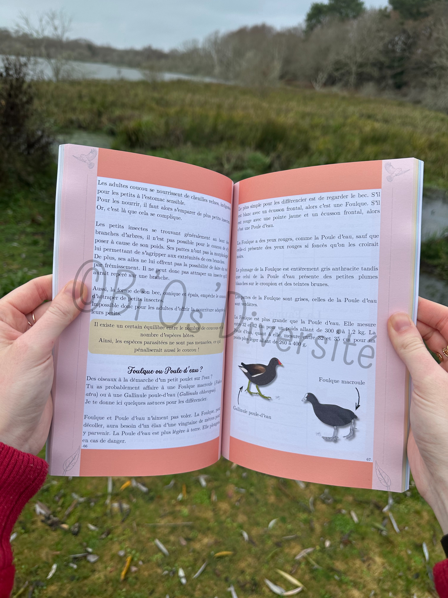 Le Carrousel de la Nature Sauvage, Tome 1