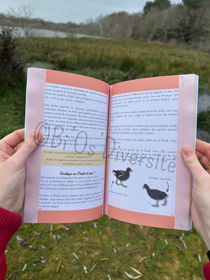 Le Carrousel de la Nature Sauvage, Tome 1