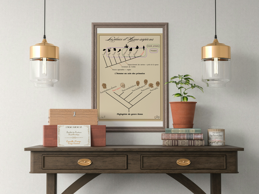 Poster Lignée humaine – La place d'Homo sapiens