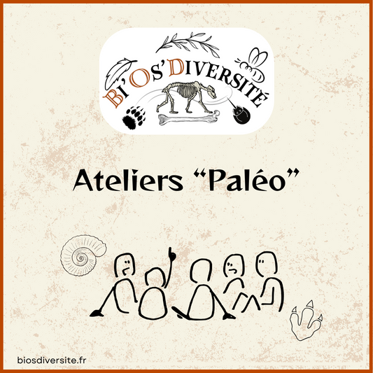 Atelier "Paléo"