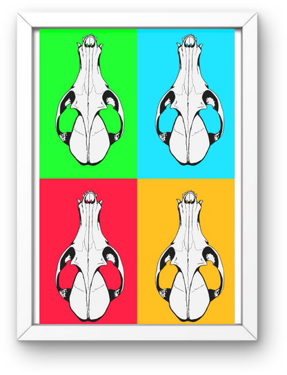 Poster design_crâne de renard roux - 2 couleurs au choix