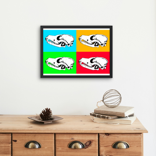 Poster couleurs - Crâne de Renard roux (profil)