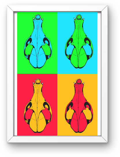 Poster design_crâne de renard roux - 2 couleurs au choix
