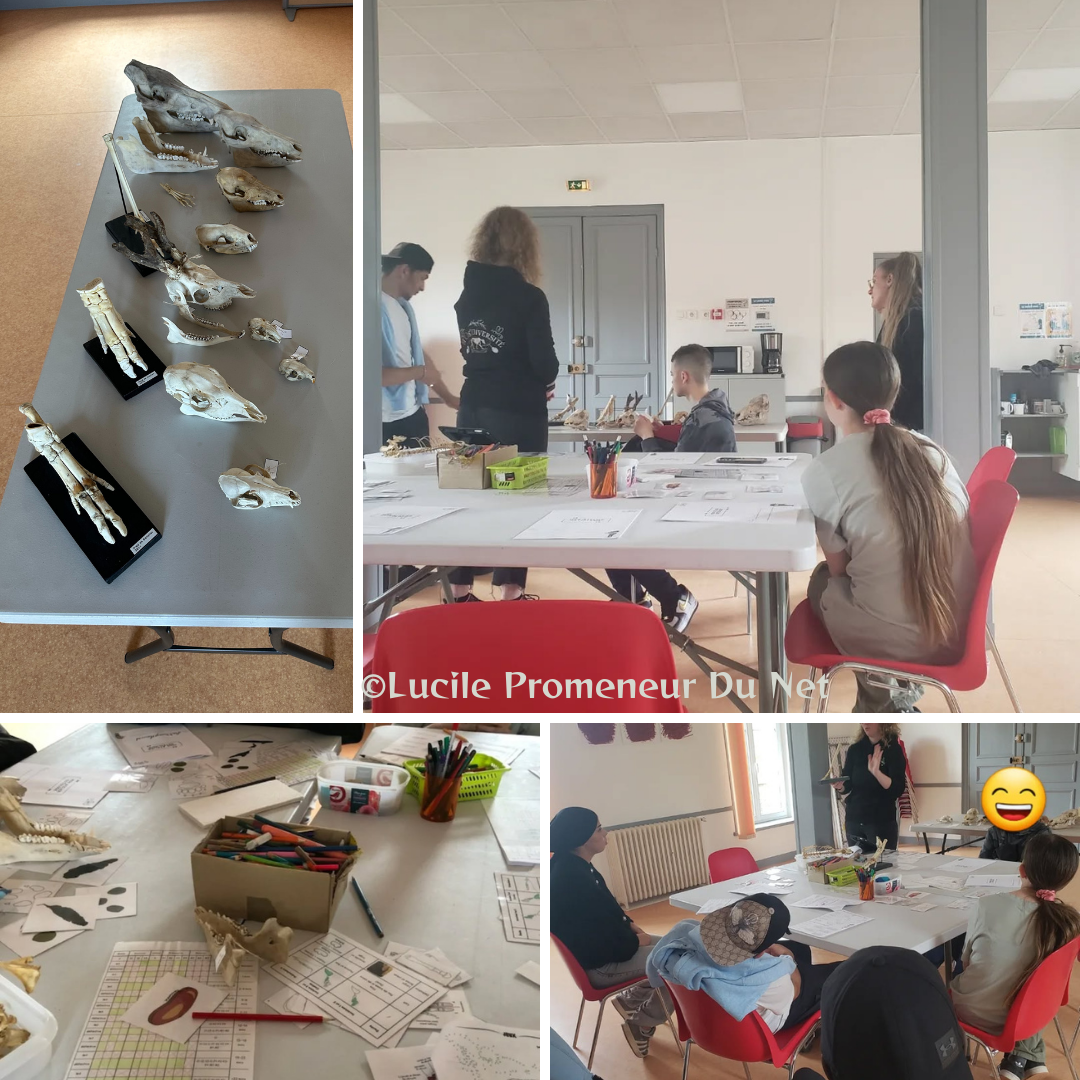 Atelier "Nature et Ostéo"