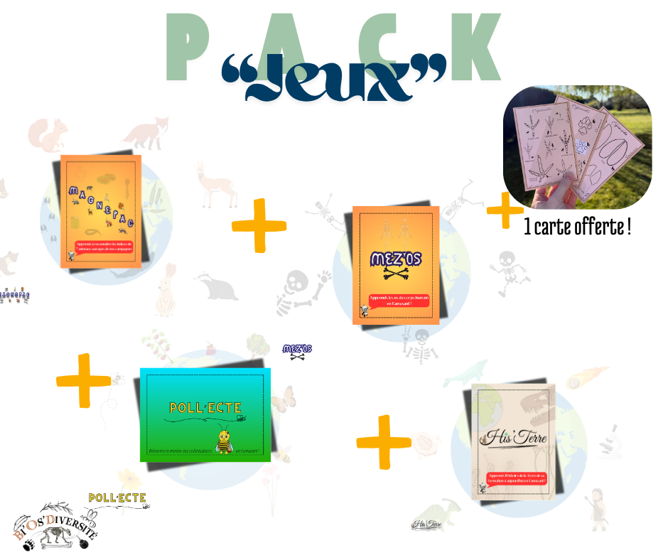 Pack "Jeux pédagogiques" + 1 carte offerte