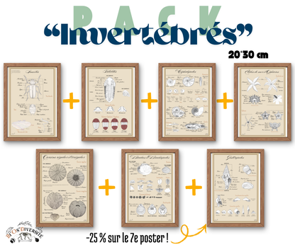 Pack "Invertébrés" - Posters 20*30 cm