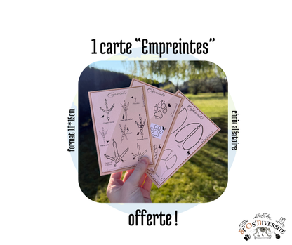 Pack - Nature + 2 cartes offertes