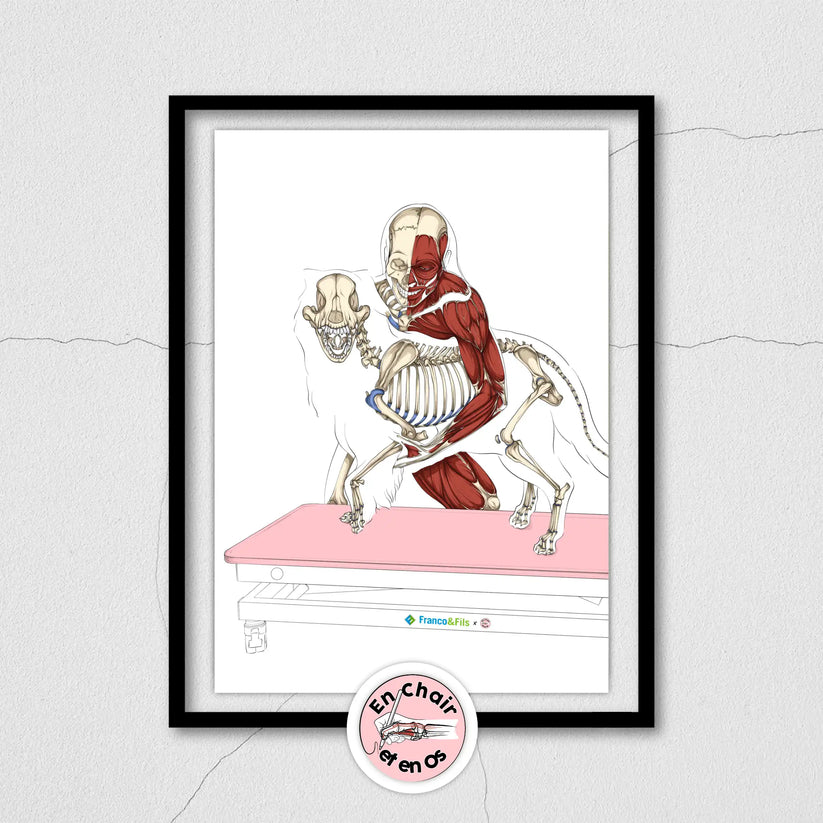 [Collaboration] - En Chair et en Os 2